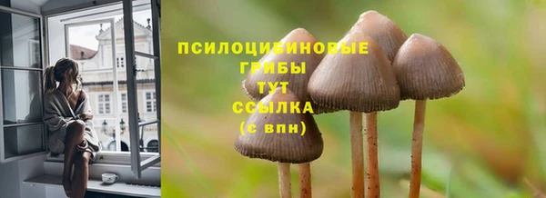 прущая мука Алзамай